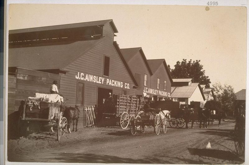 File:Ainsley.jpg