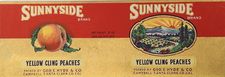 Hyde sunnyside label.jpg